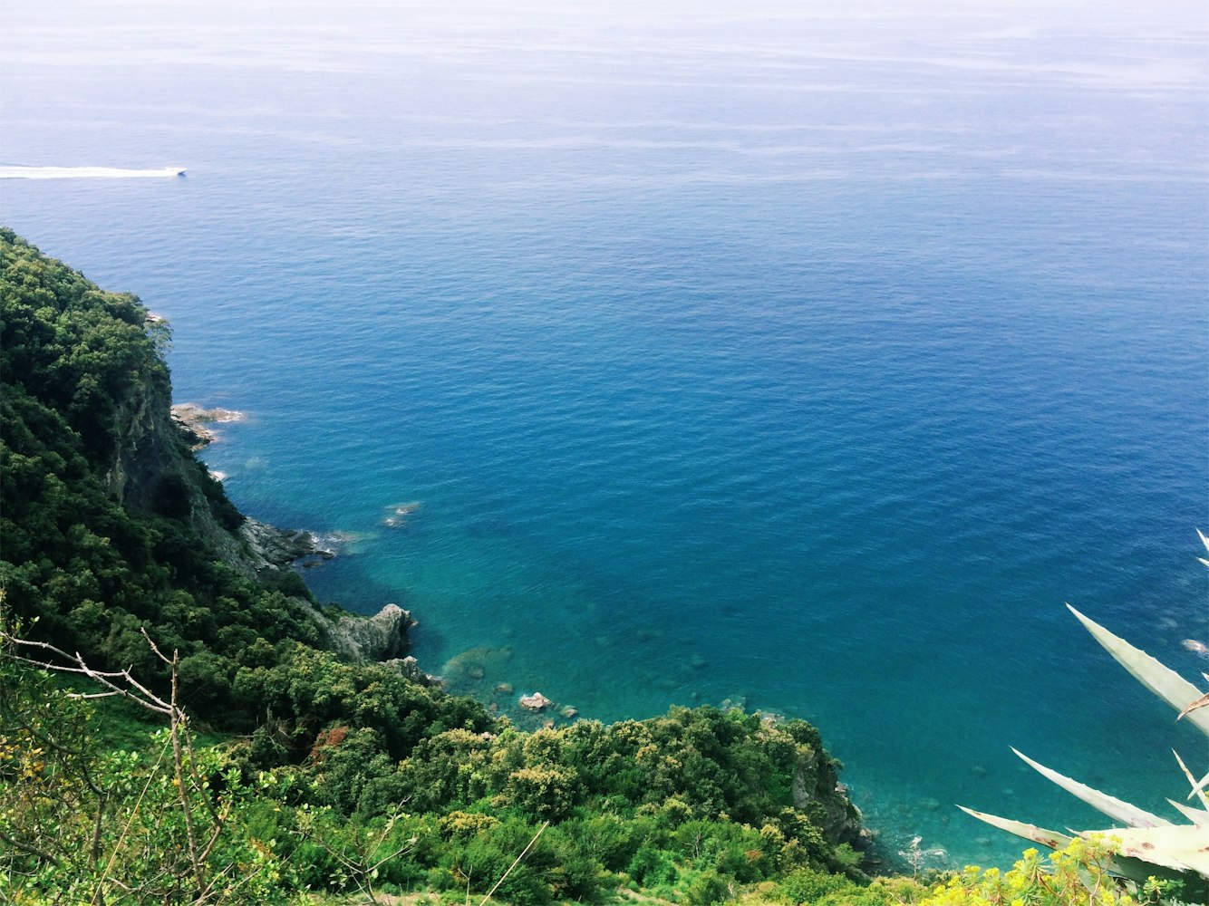 母秉杰最新动态揭秘,卓越领导者探索前沿领域的新征程