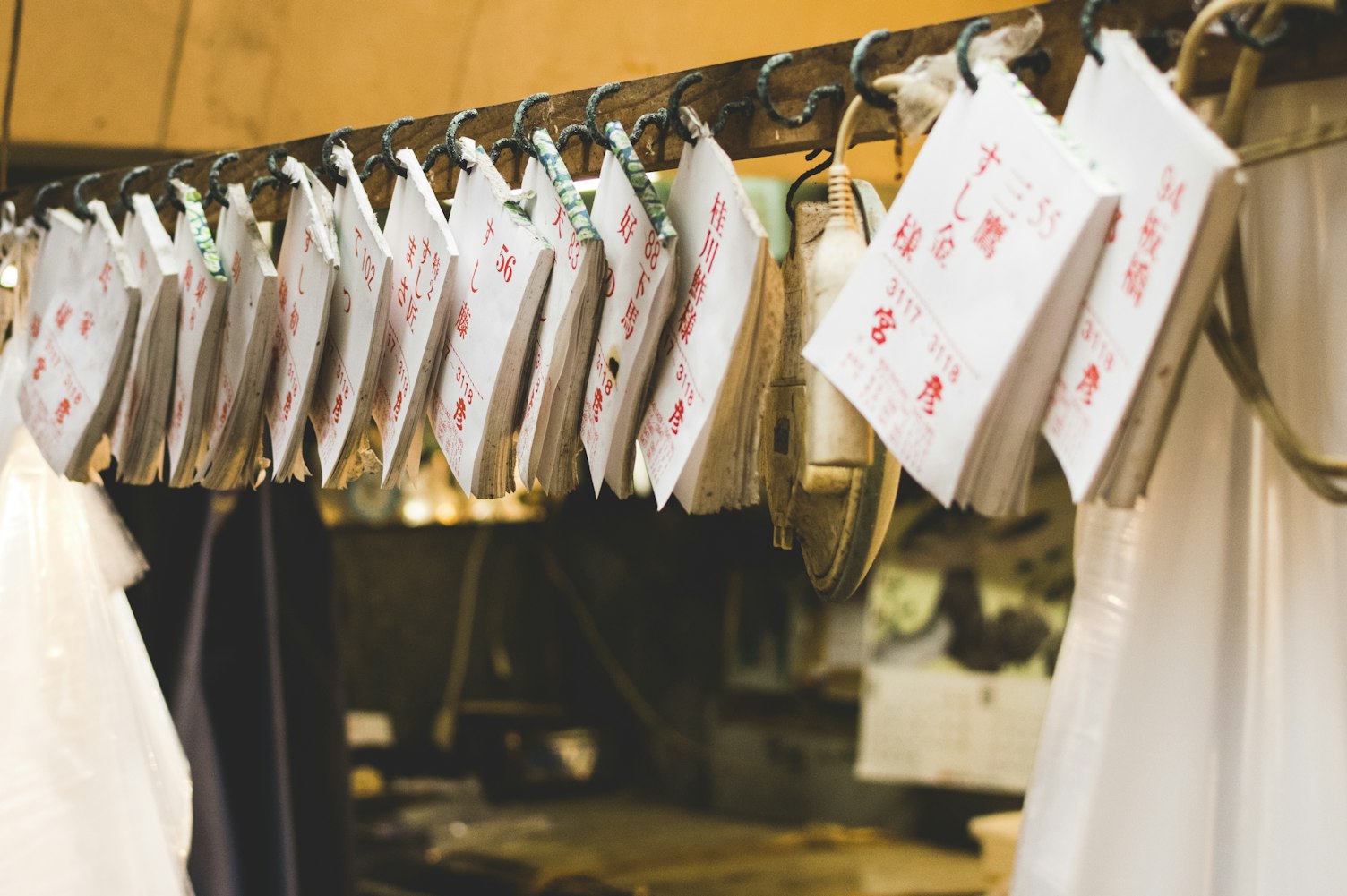 东莞车牌限购最新动态,政策调整及市场反应分析