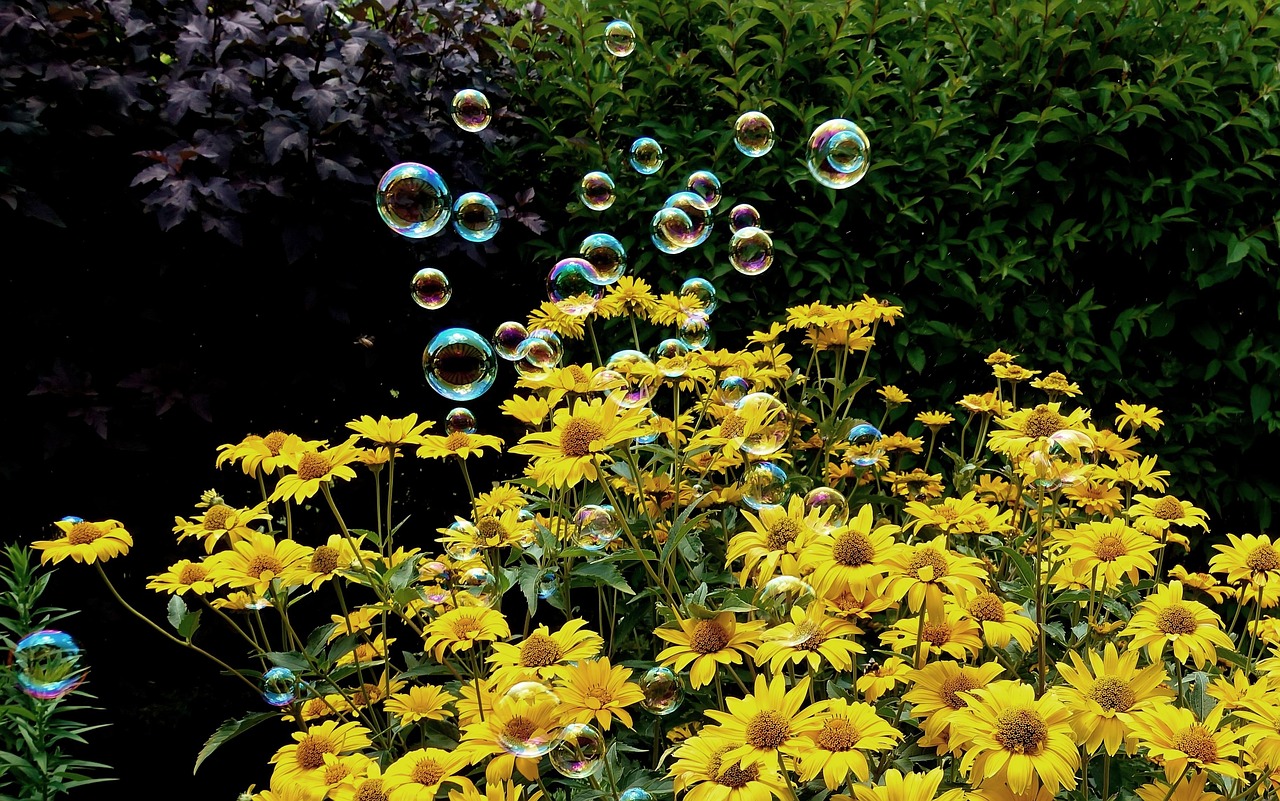 黄舜斌最新消息全面解析,涉事动态一览无余