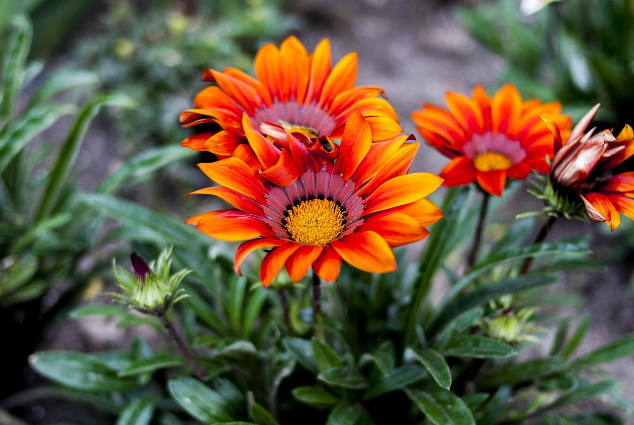 黄舜斌最新消息全面解析,涉事动态一览无余