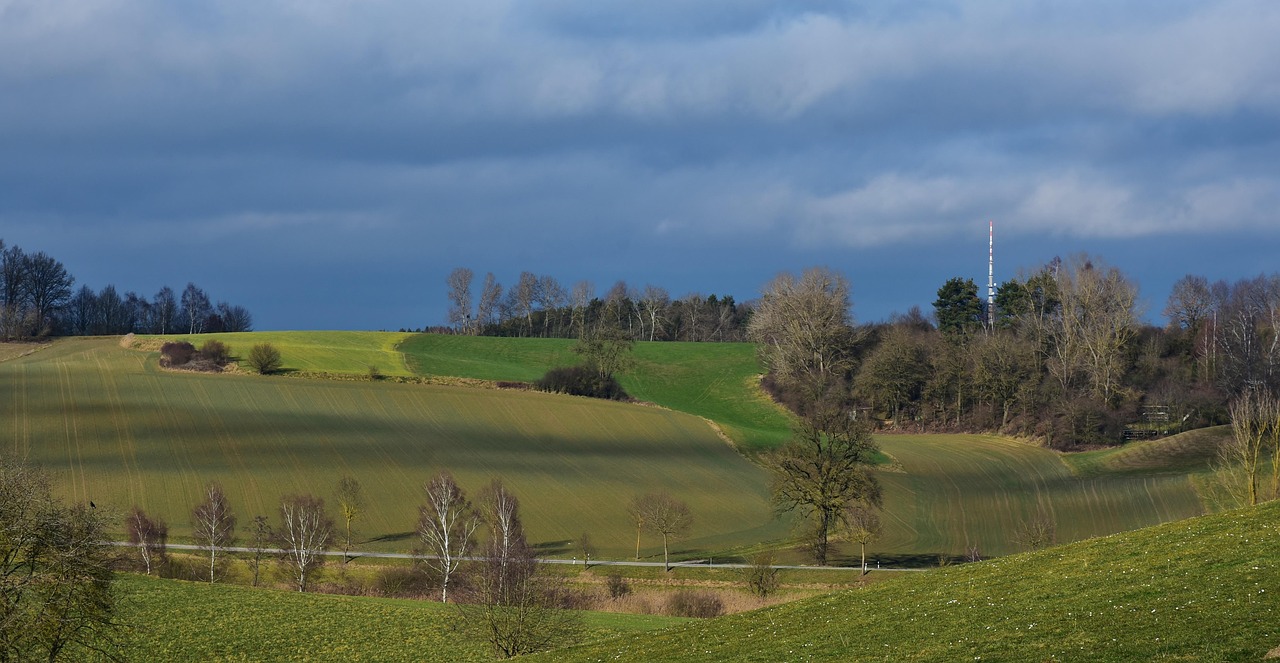 常远最新动态揭秘,多面魅力展现与未来展望