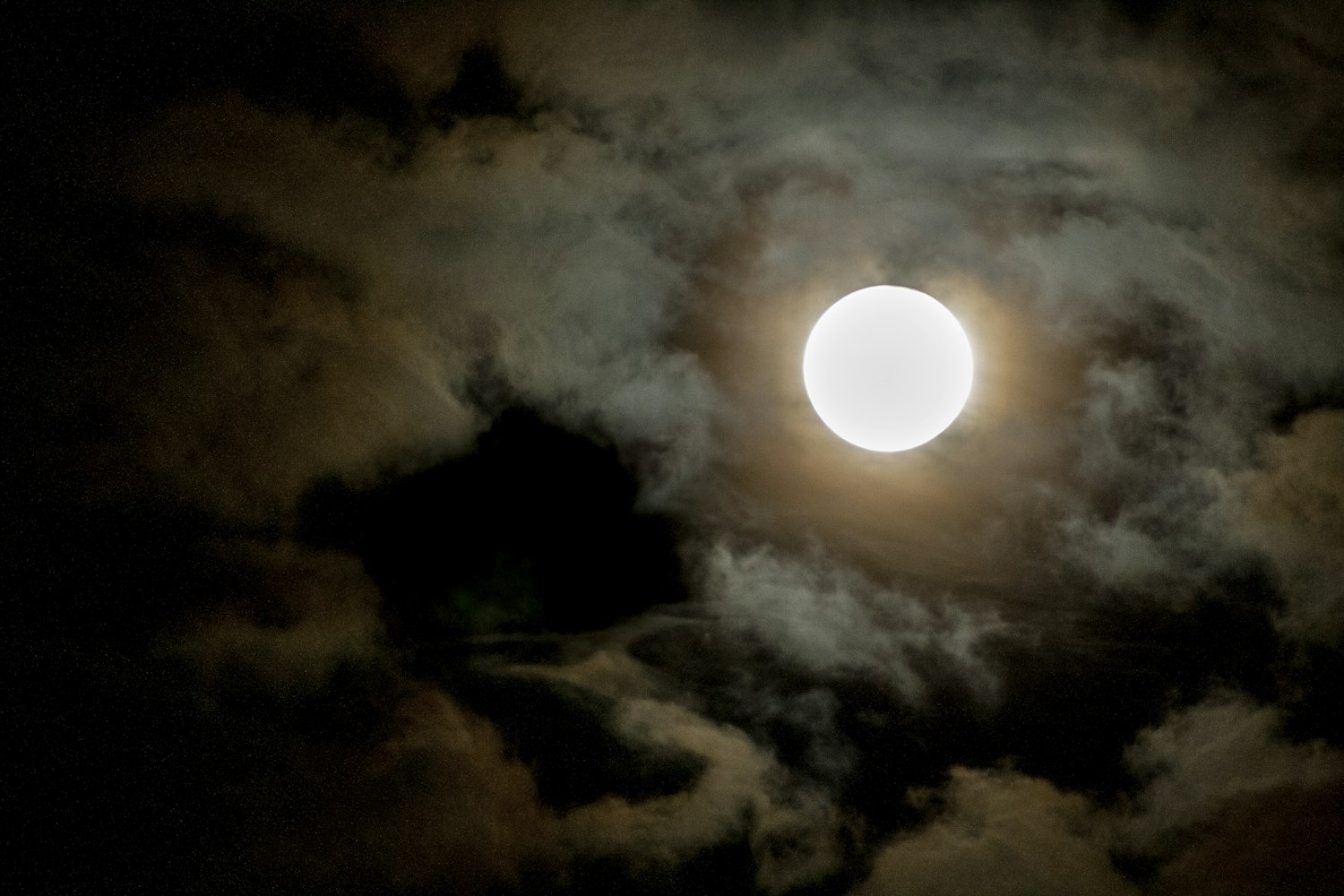 神雾节能技术最新动态，先锋力量引领绿色发展之路