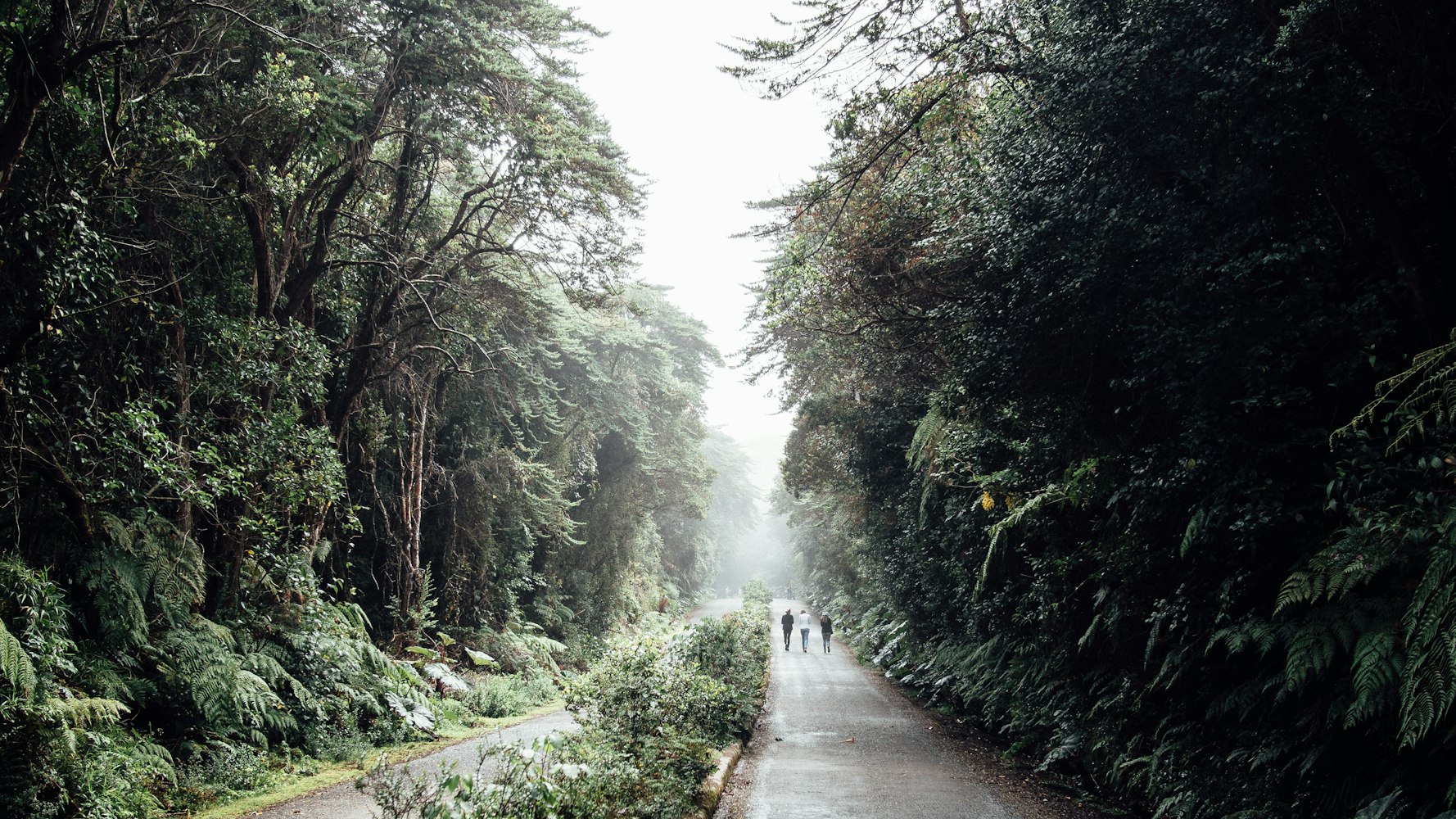 神雾节能技术最新动态,先锋力量引领绿色发展之路