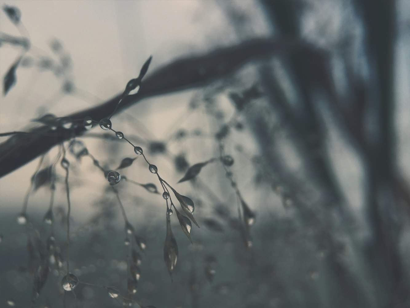 全球时事热点速递,最新新闻报道与动态聚焦