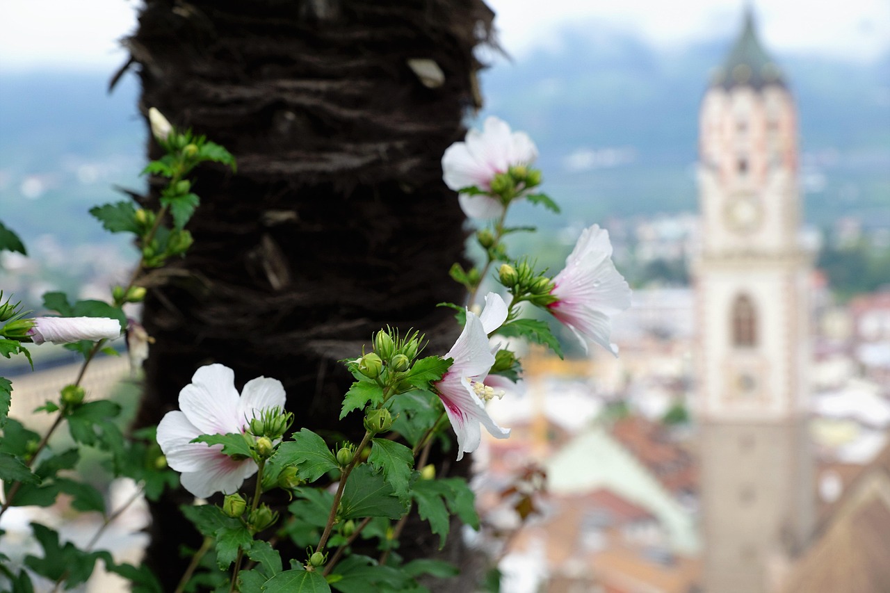 吉安国贸中心最新动态,繁荣蓝图与发展展望