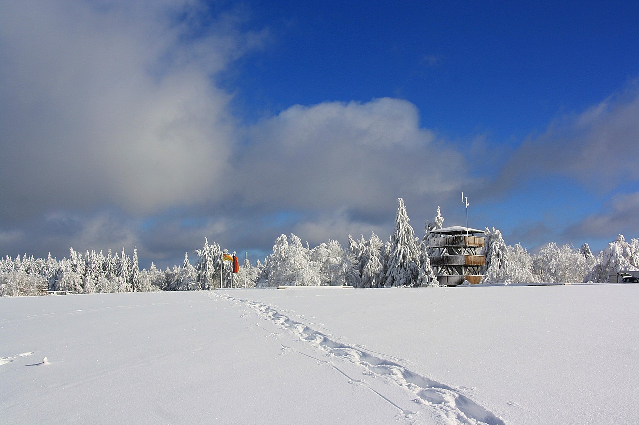 雄安新区最新动态，未来之城新篇章展现风采