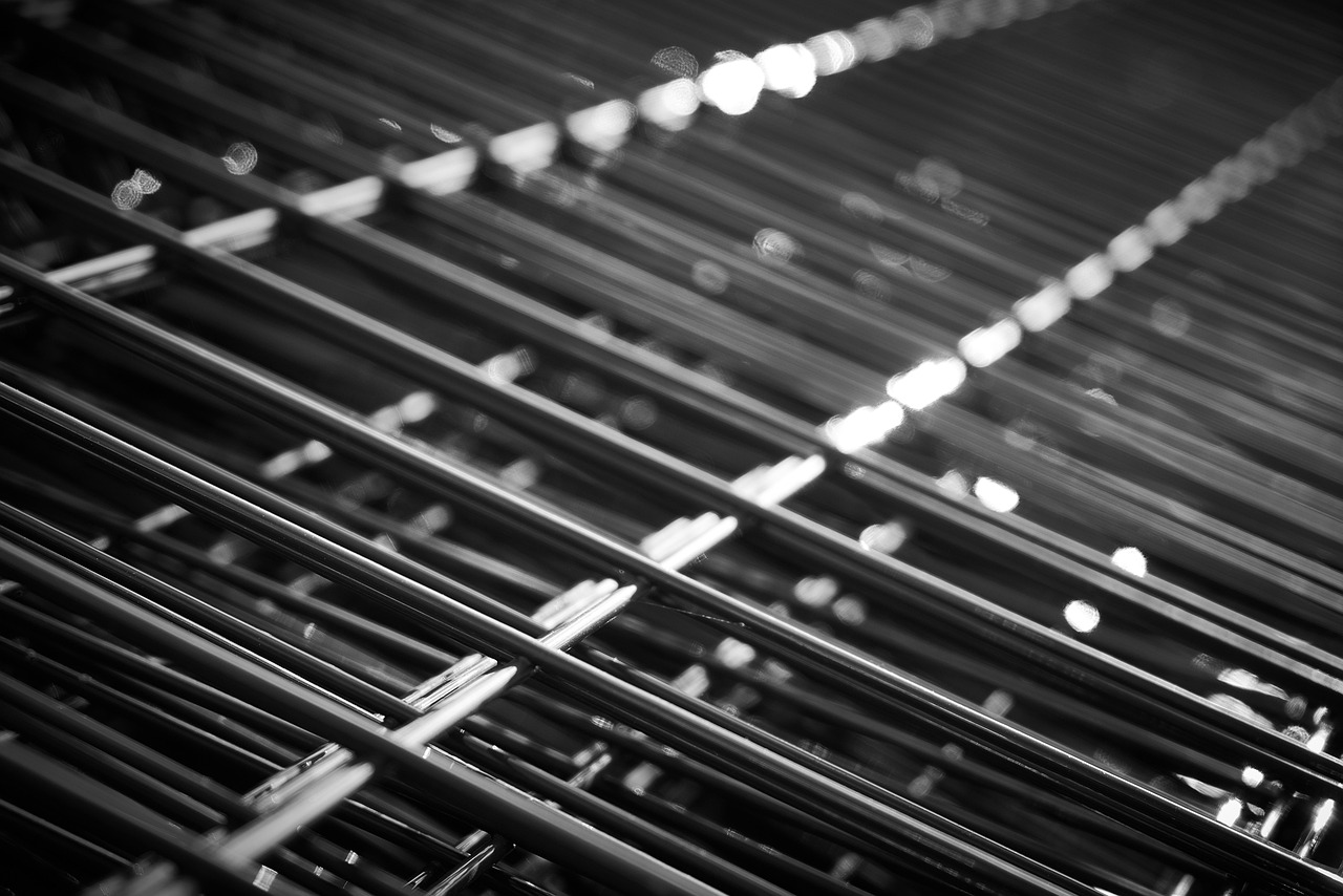 山东小麦价格最新行情分析与趋势预测