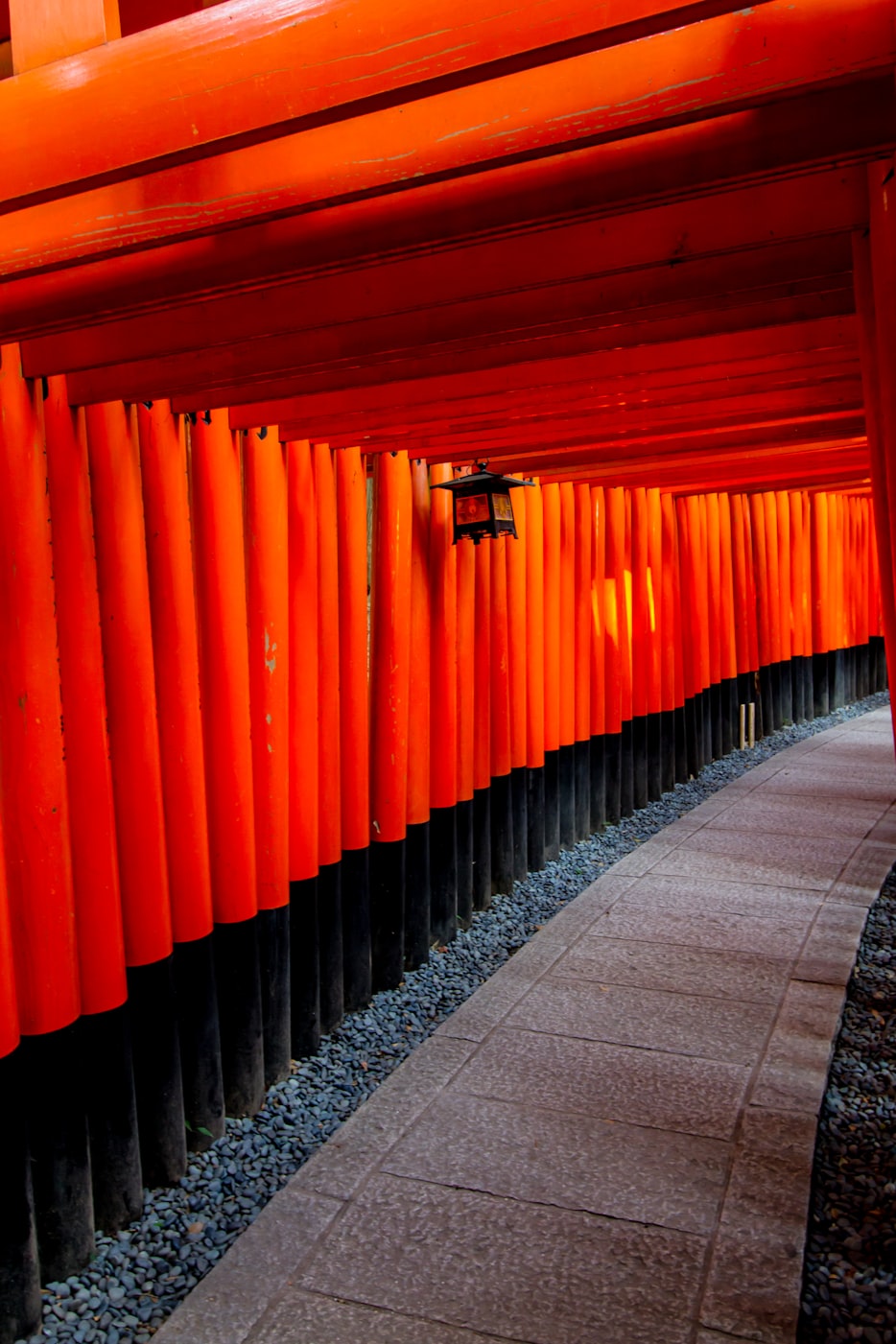 黄埔长岭居动态资讯,城市发展与居住品质同步提升