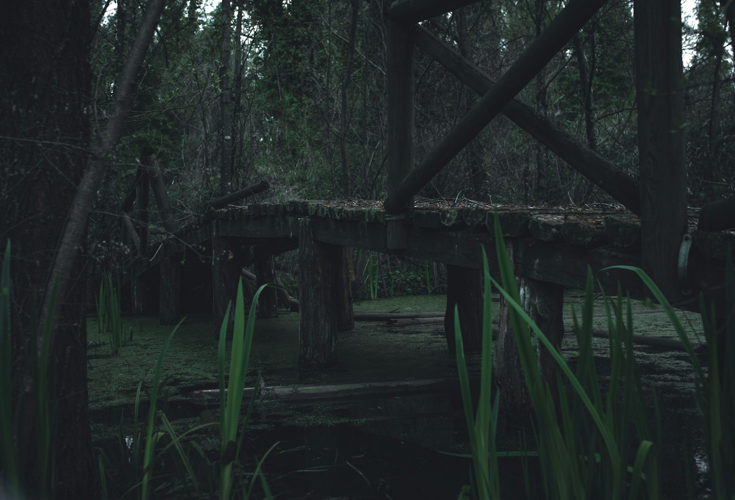 桃色交易电影,情感与欲望的复杂交织探索