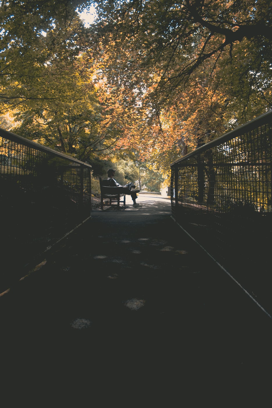 桃色交易电影,情感与欲望的复杂交织探索