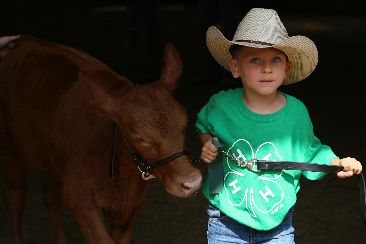 太和县岳修杰展现新时代风采的最新动态