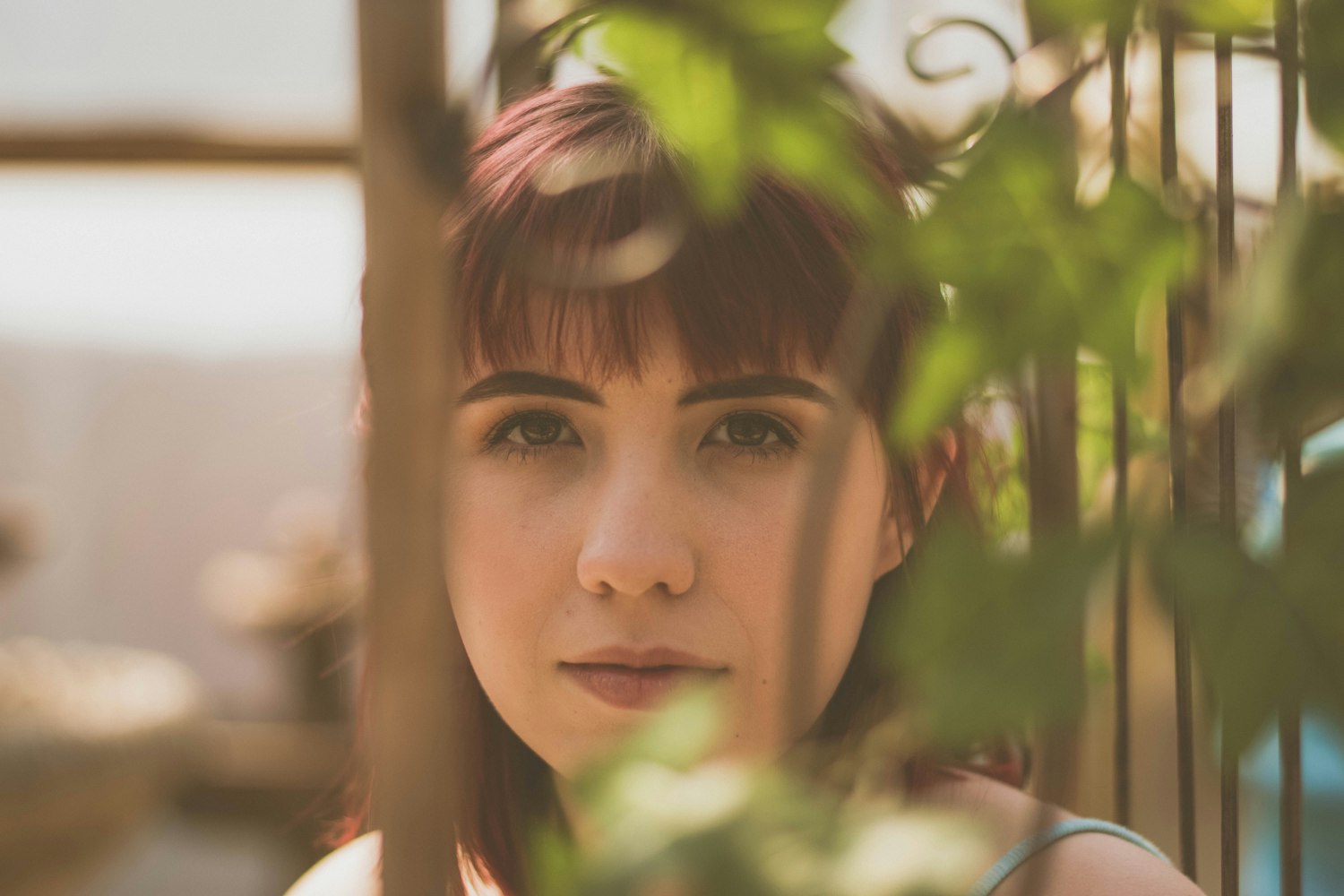 沉睡花园,心理悬疑剧完整版免费观看