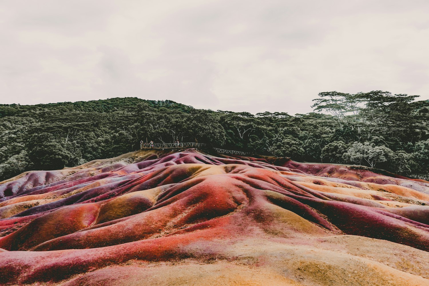 电影山2,探索与超越的旅程启航