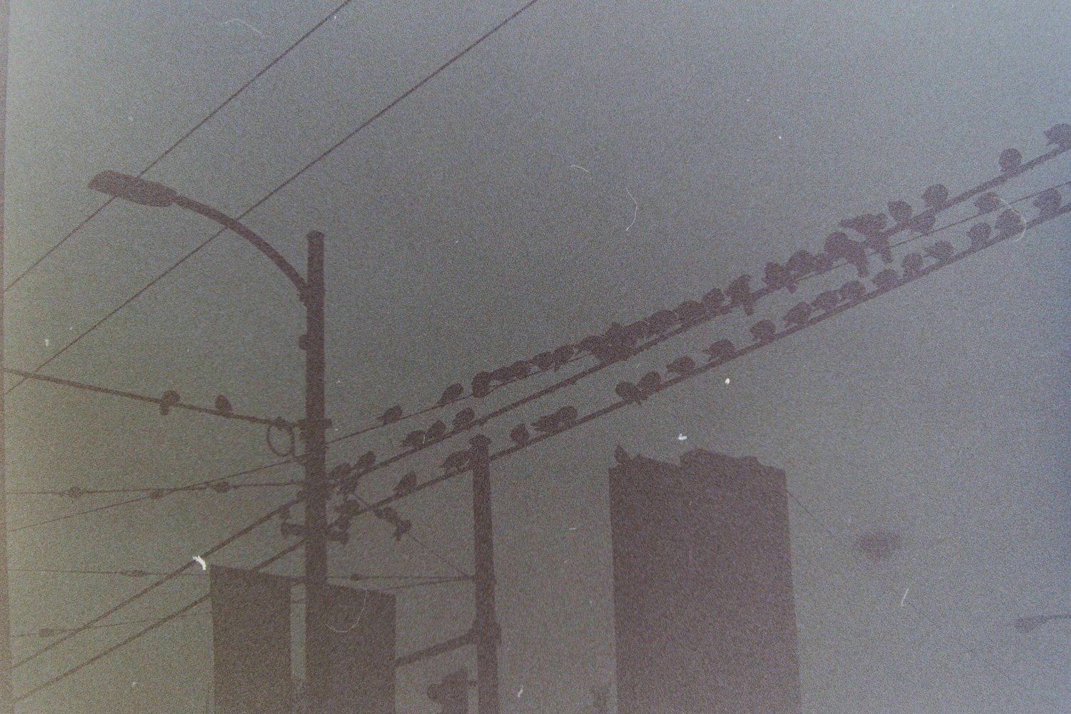 最新沼气池设计图纸,环保高效能源解决方案的构建