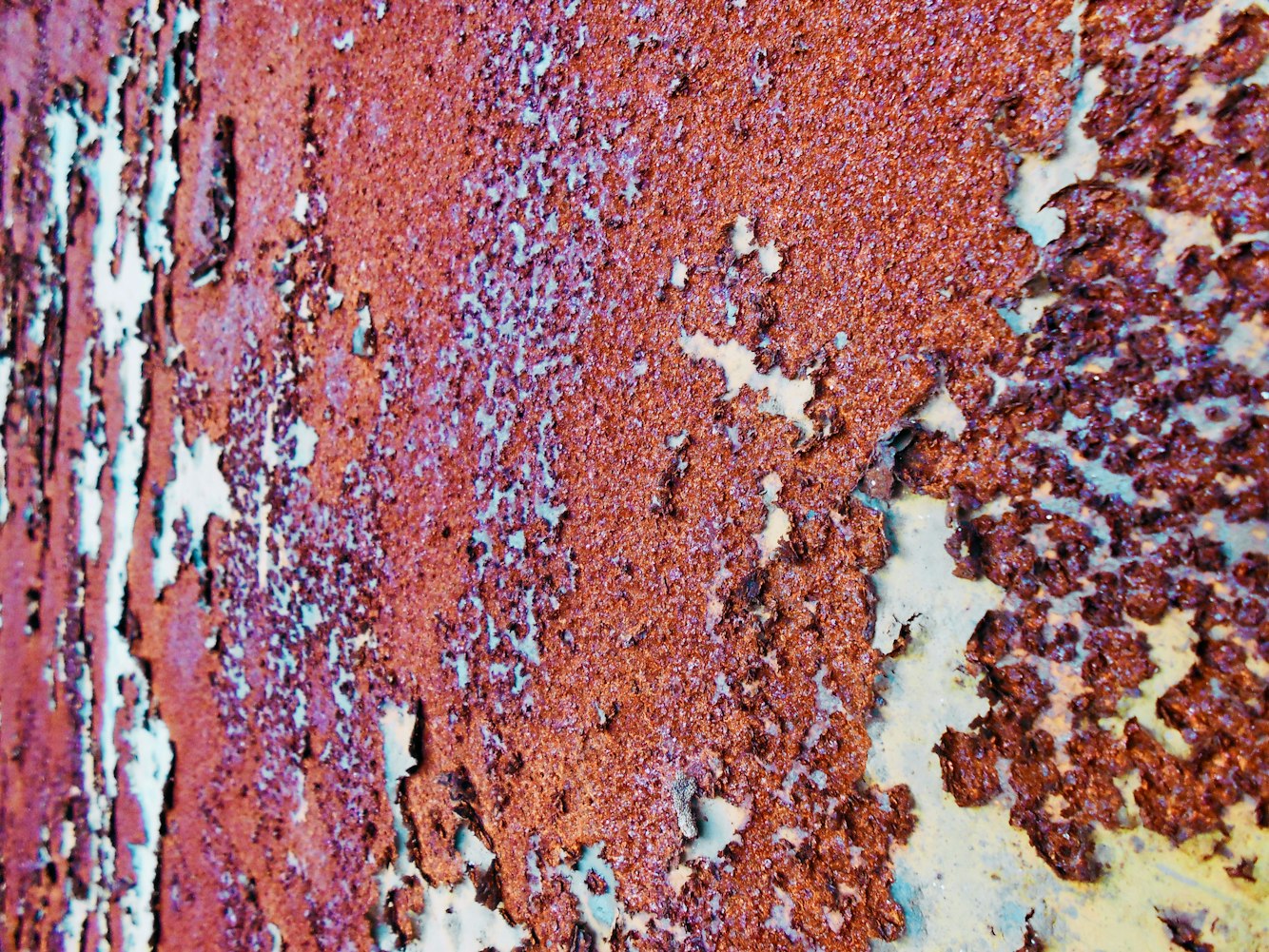 望海金豪最新资讯与行业前沿动态探索