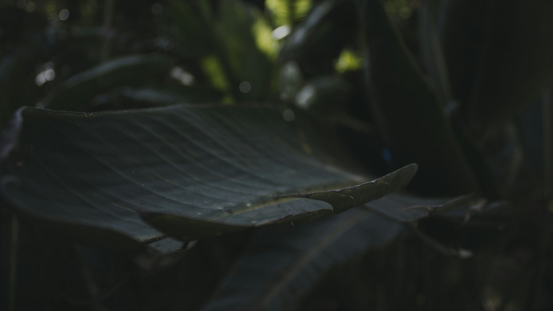 湖北最新资讯,多维度视角下的经济、文化、科技与社会发展动态