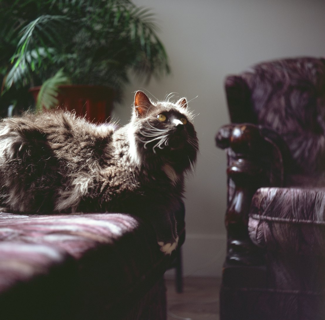 圣诞怪杰，温馨深刻的电影佳作