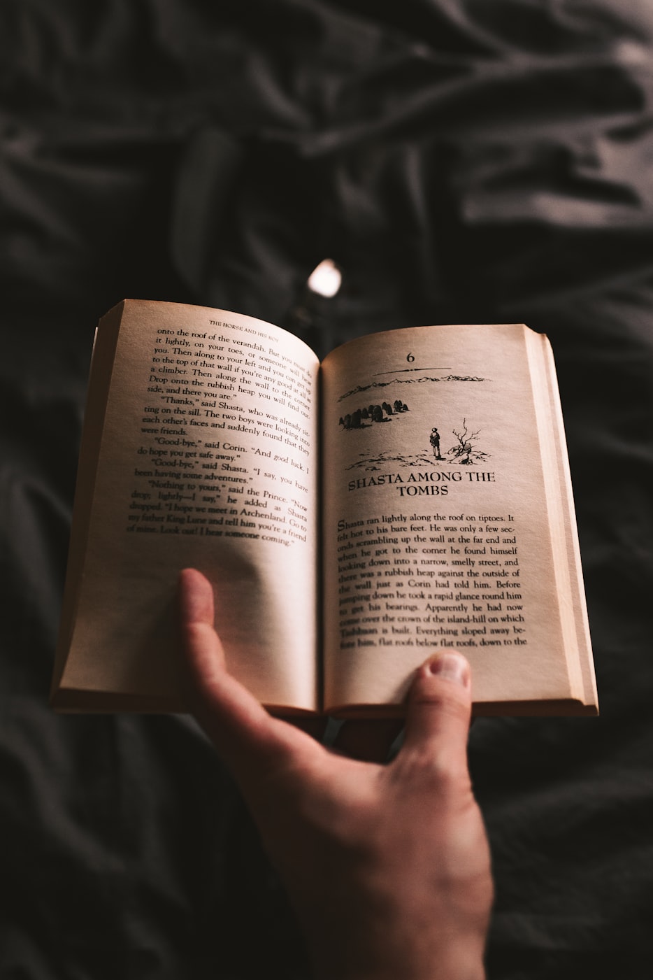 凌淑芬新作小说，深度探索情感魅力