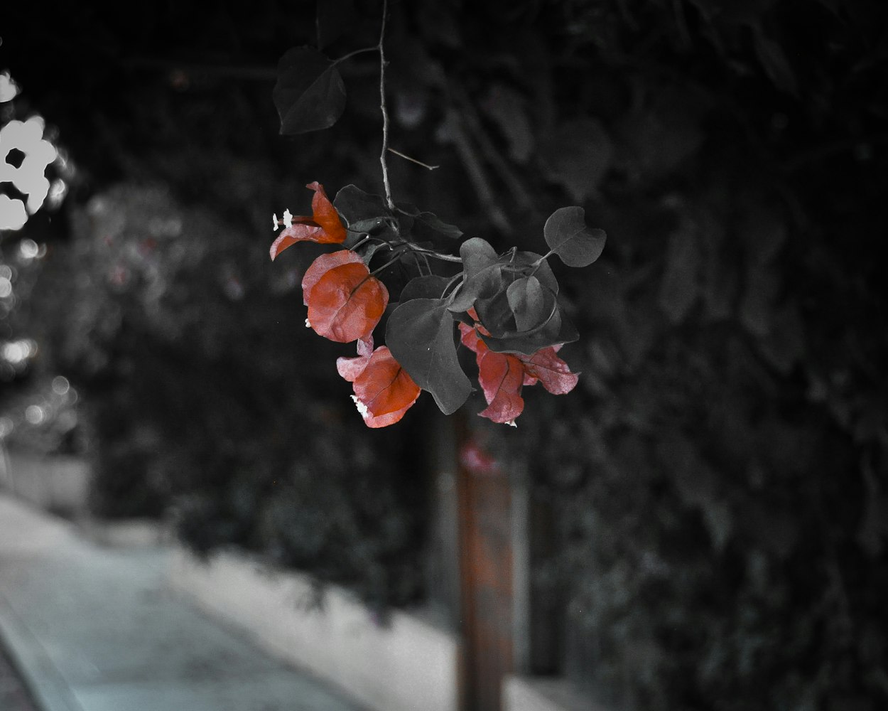 凌淑芬新作小说,深度探索情感魅力