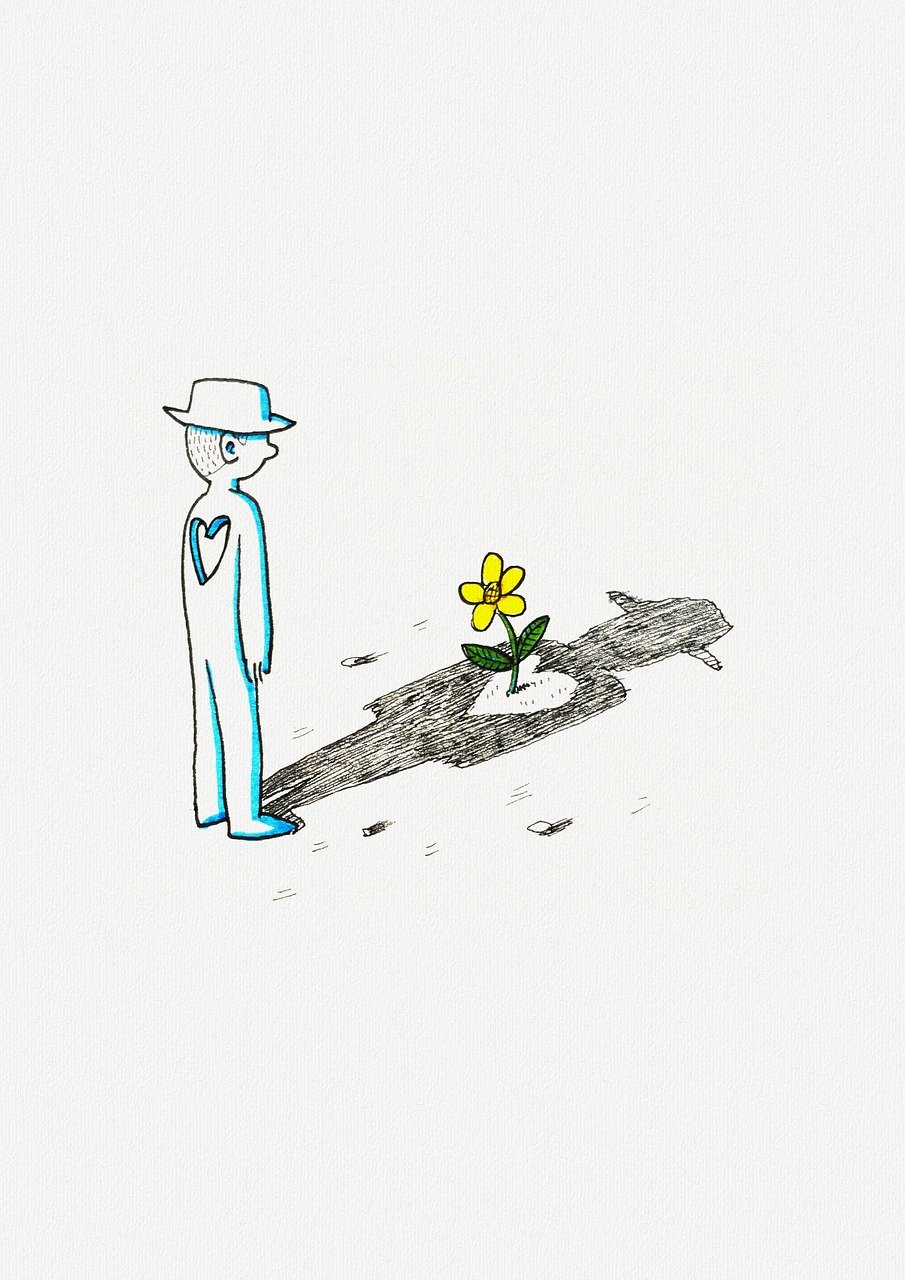 探索儿童对新事物之爱的奥秘,宝宝爱新版本揭秘