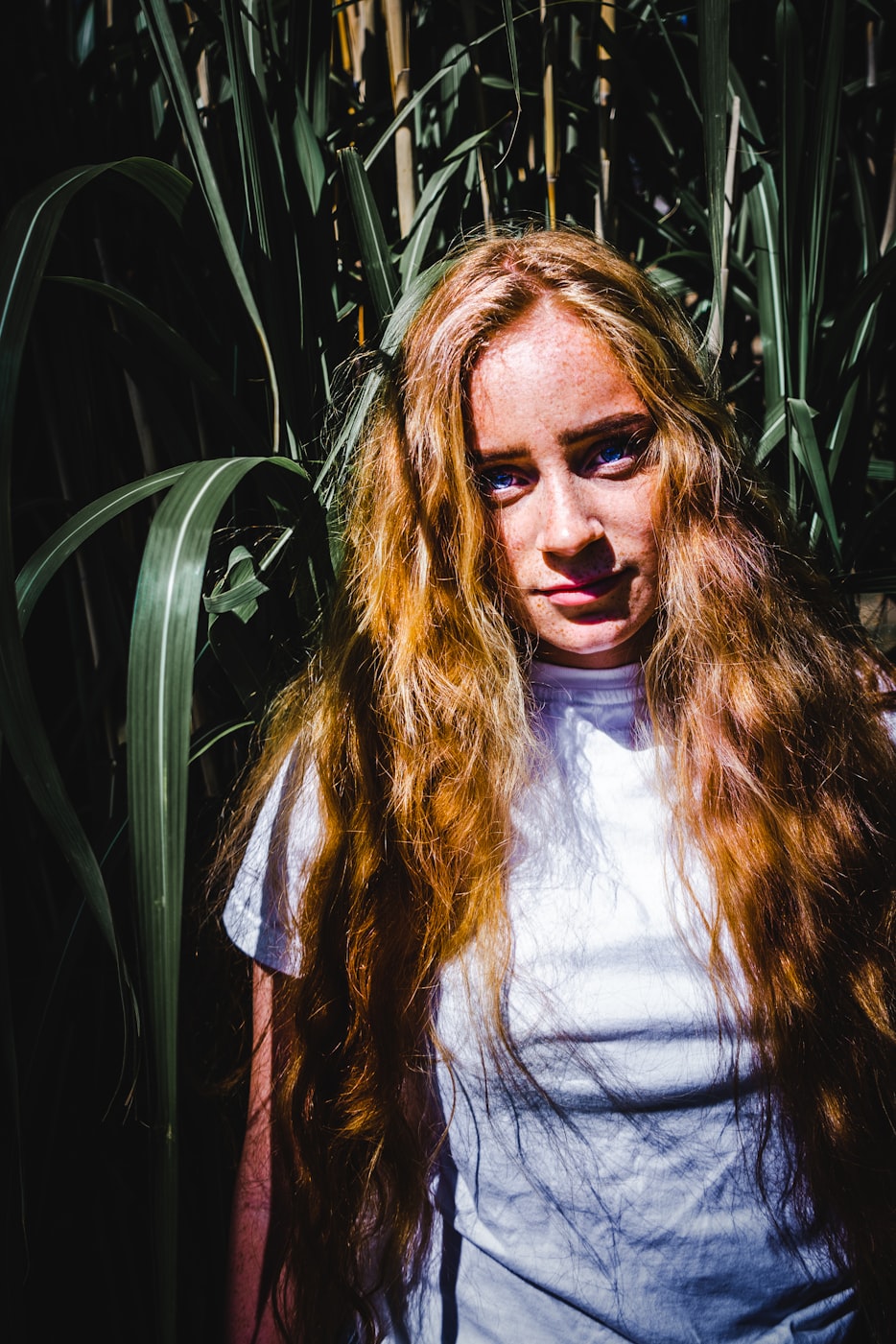 闪耀娱乐圈的璀璨之光,最美明星的魅力展现