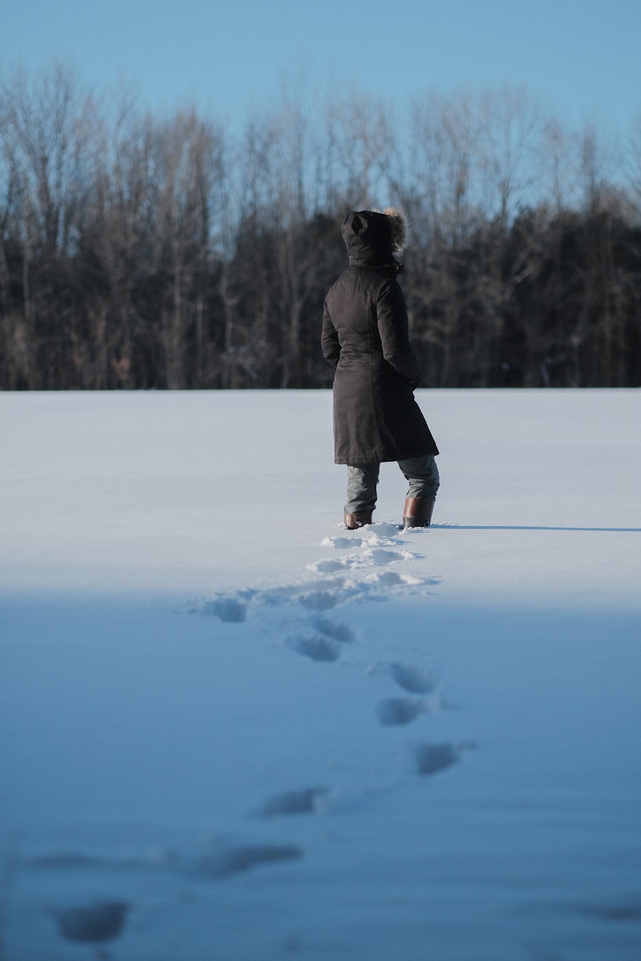 郭阳新动态，探索未来，潮流引领者的新步伐