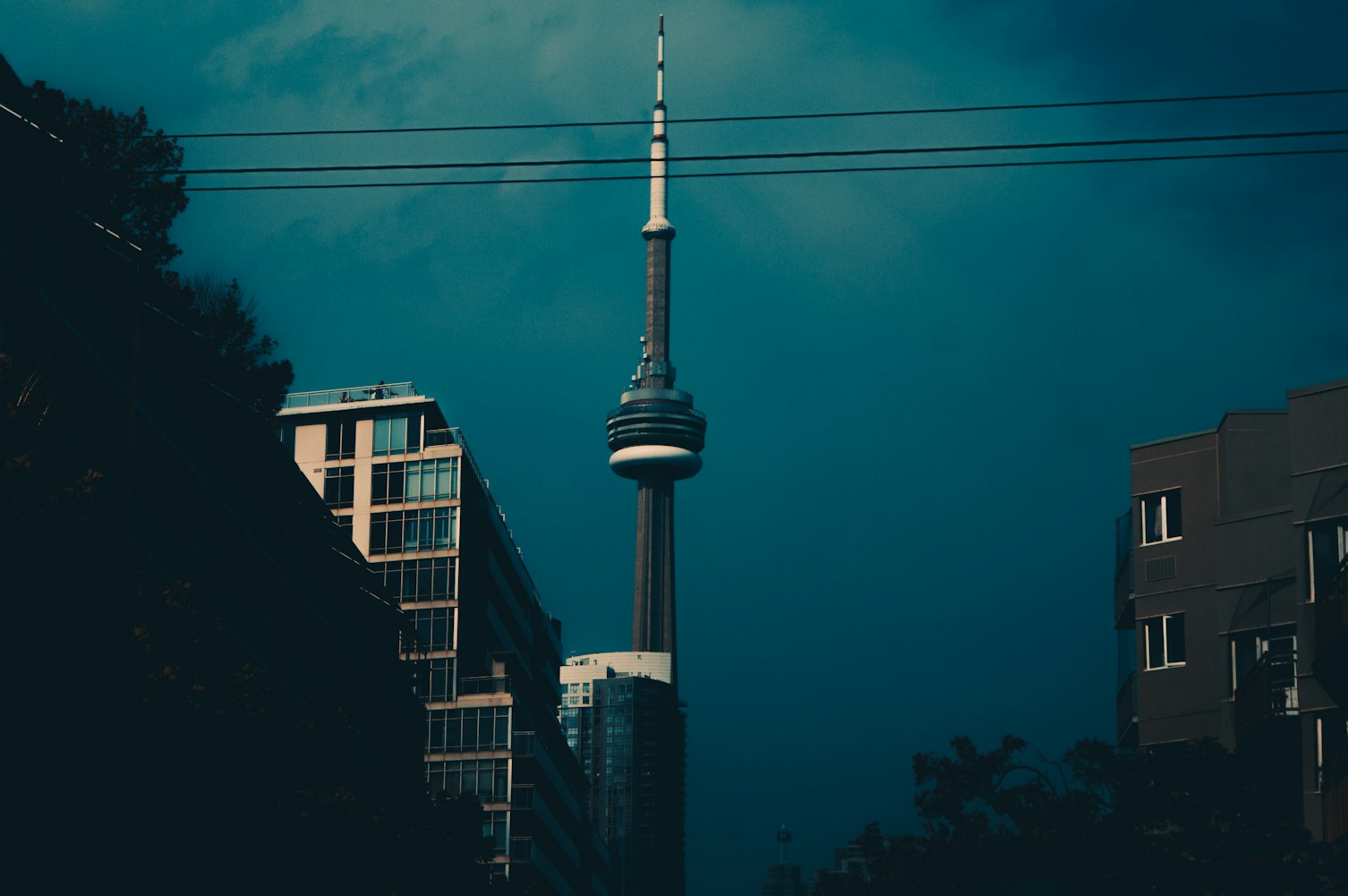 最新站点,引领科技与生活新潮流的前沿阵地