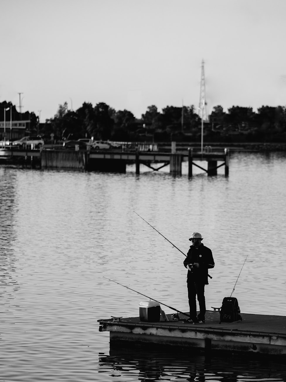 最新电捕鱼技术探索与实践,实践与应用解析