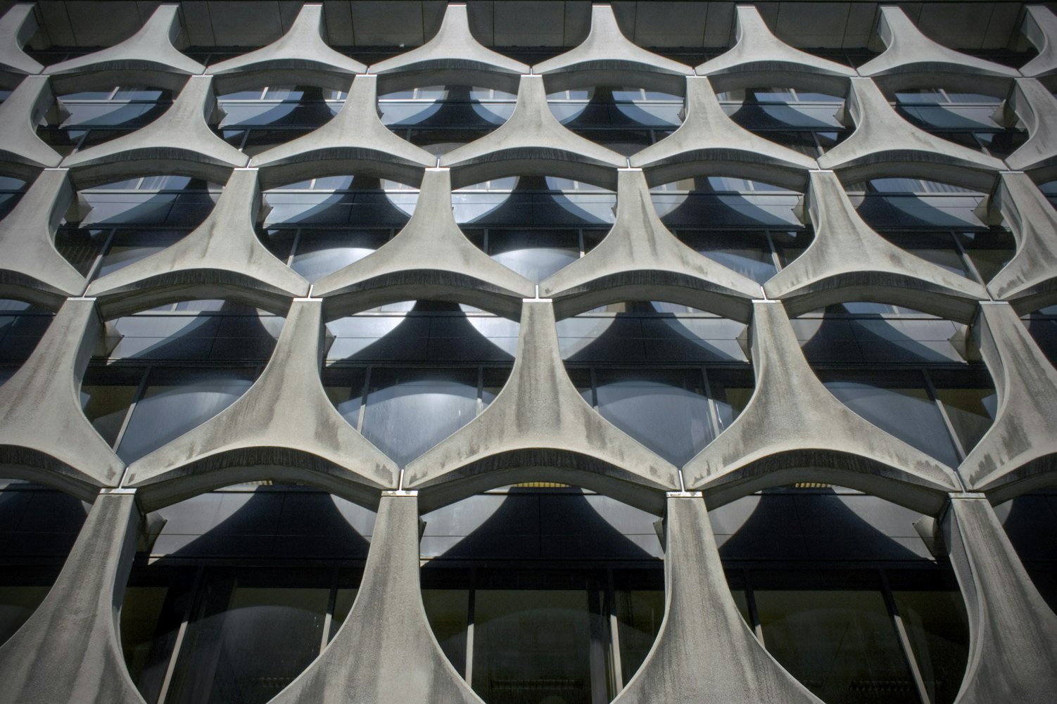 全球邮轮最新疫情动态及未来展望