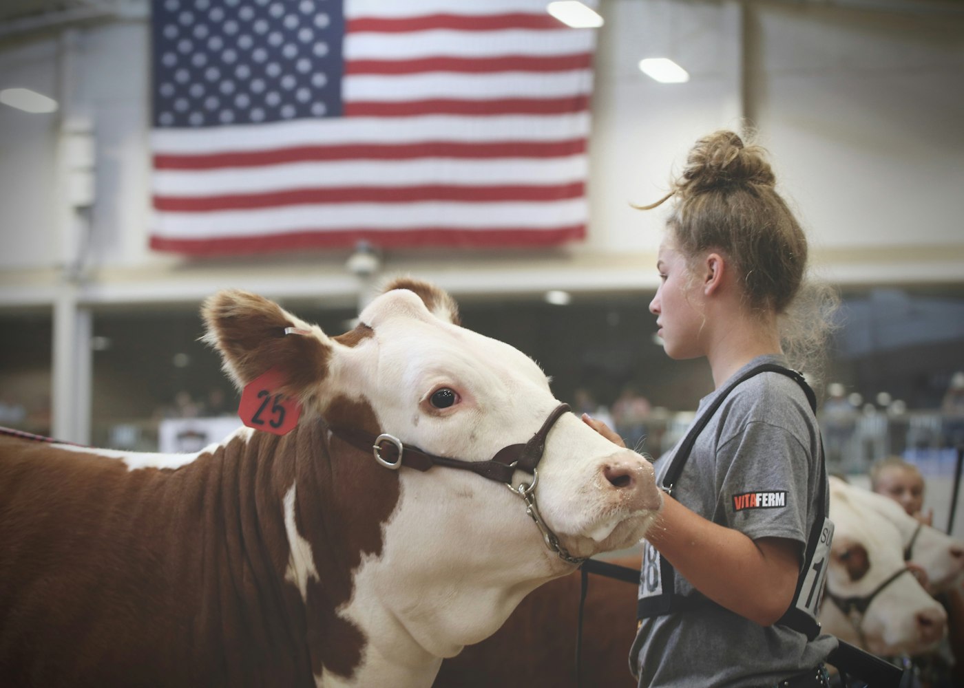 西部黄金产业展现持续增长潜力,最新消息揭示黄金产业新动态