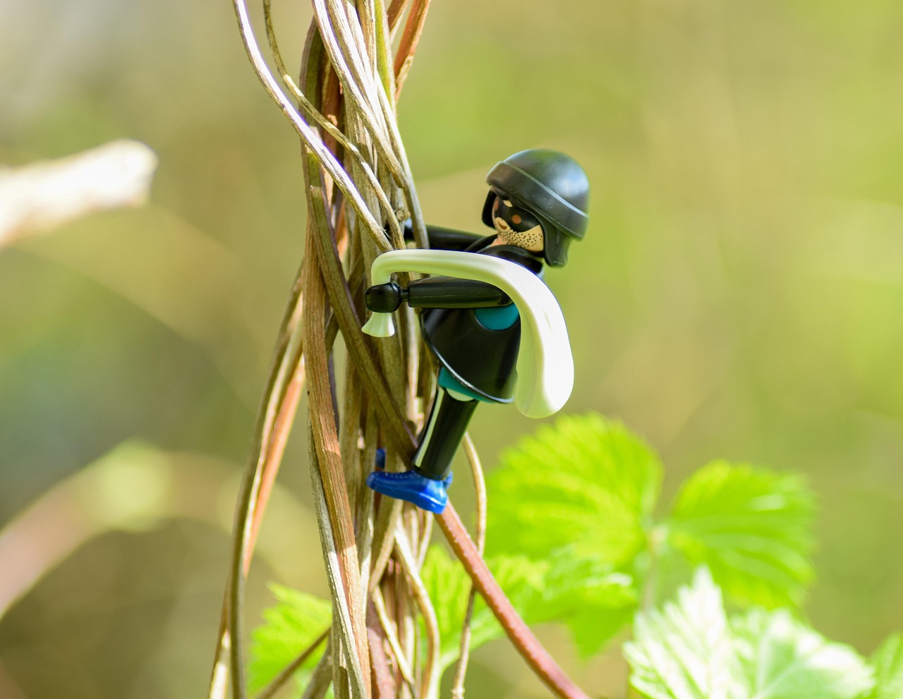 阳泉新鲜资讯概览,最新动态一网打尽