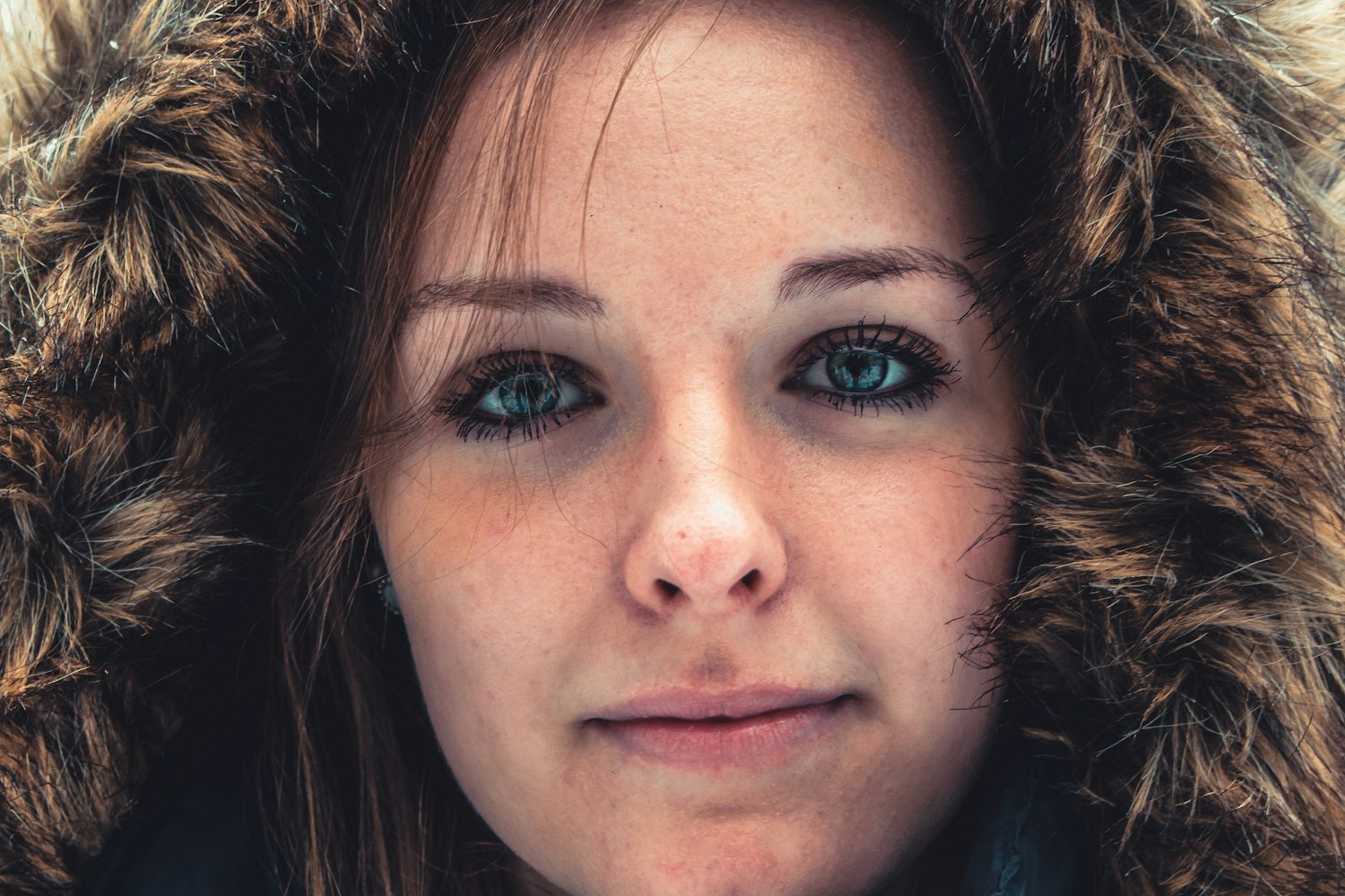 魅力女演员,影视界的闪耀明星之光