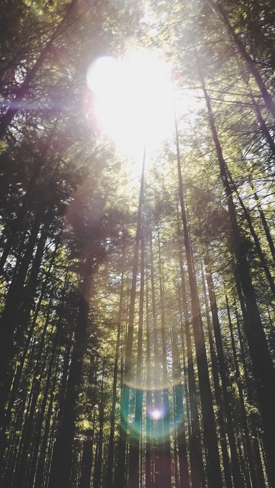 奕强新作,探索艺术新领域与深度的创意之旅