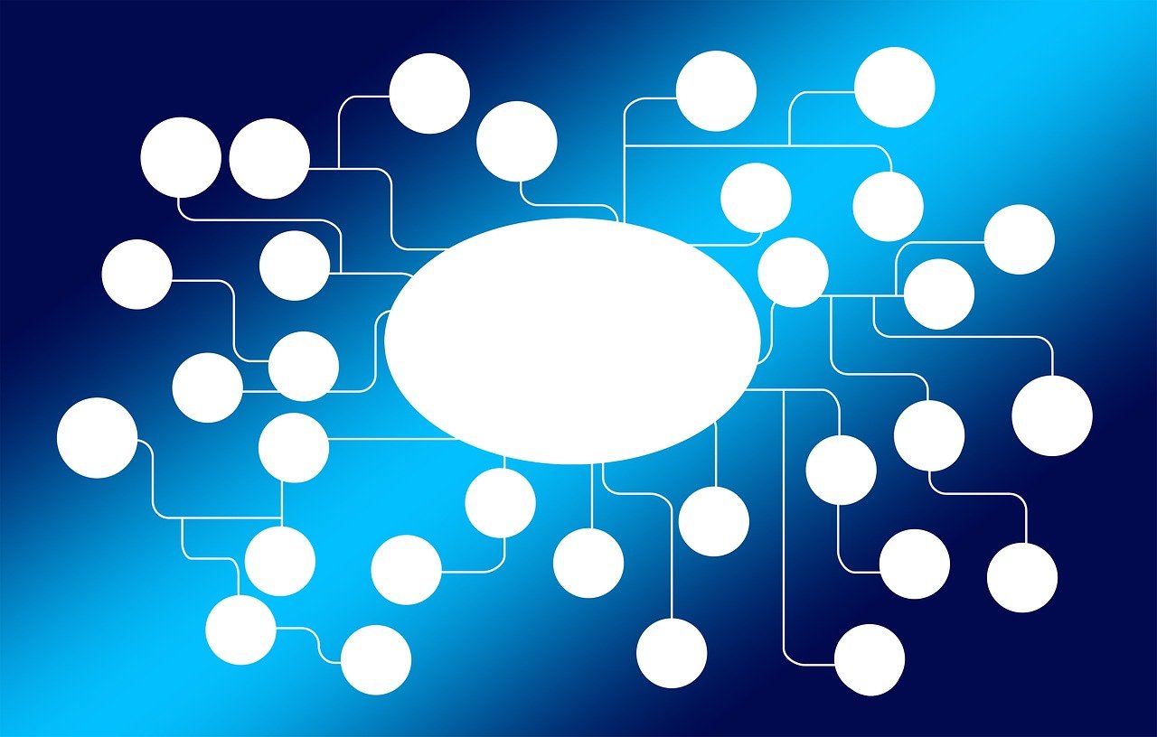 中美局势动态,合作与竞争的交织发展