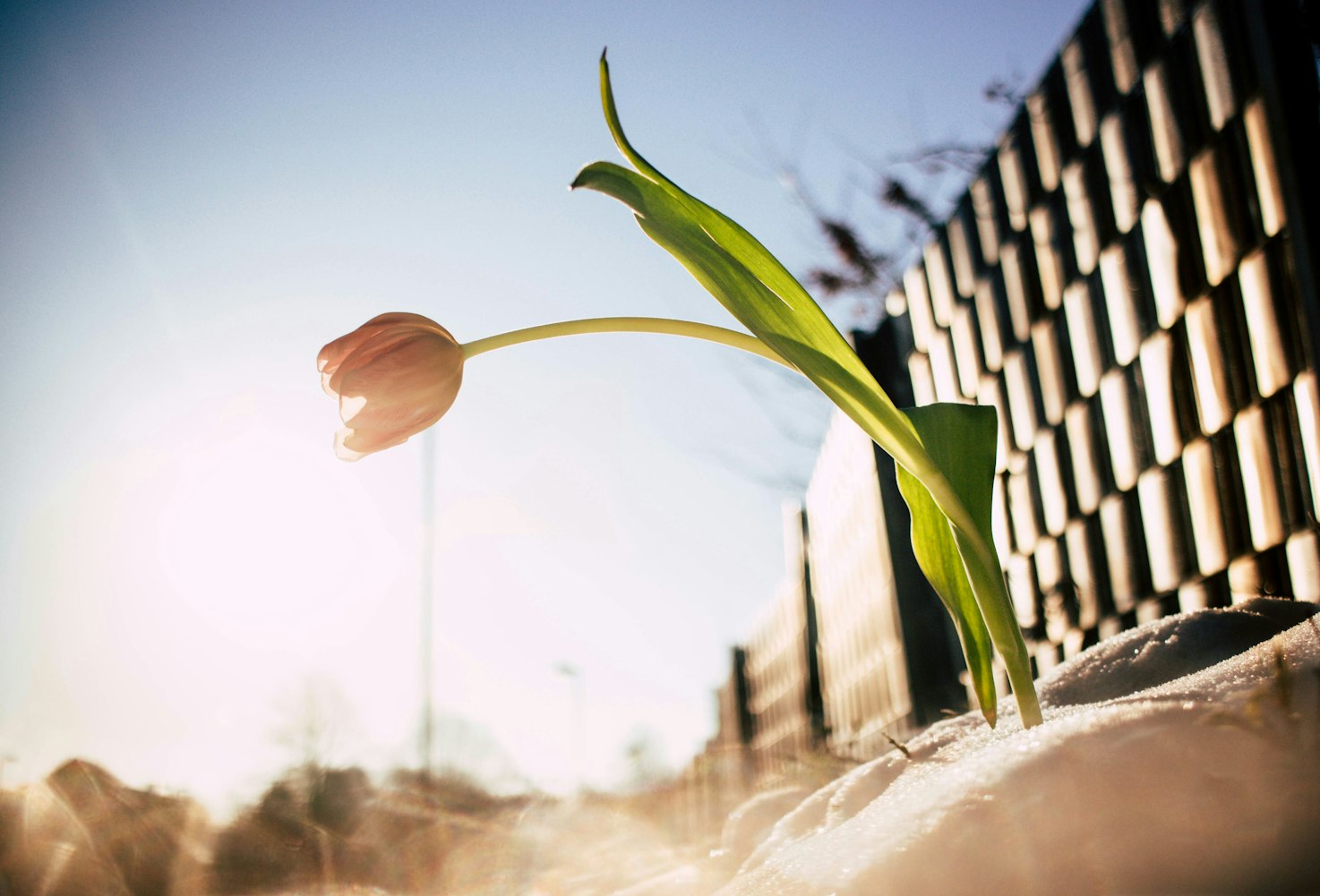 军事科技最新动态,引领未来战争的变革力量,探索军事科技前沿进展