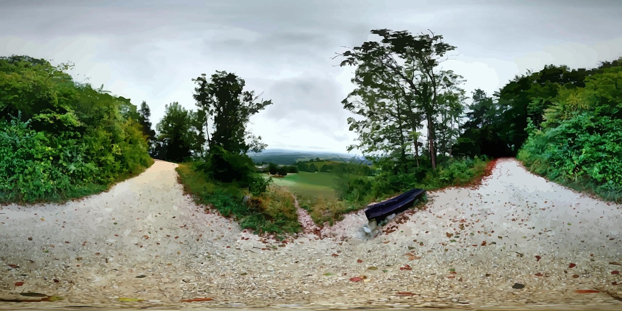 草社区最新动态概览,2017年发展与展望