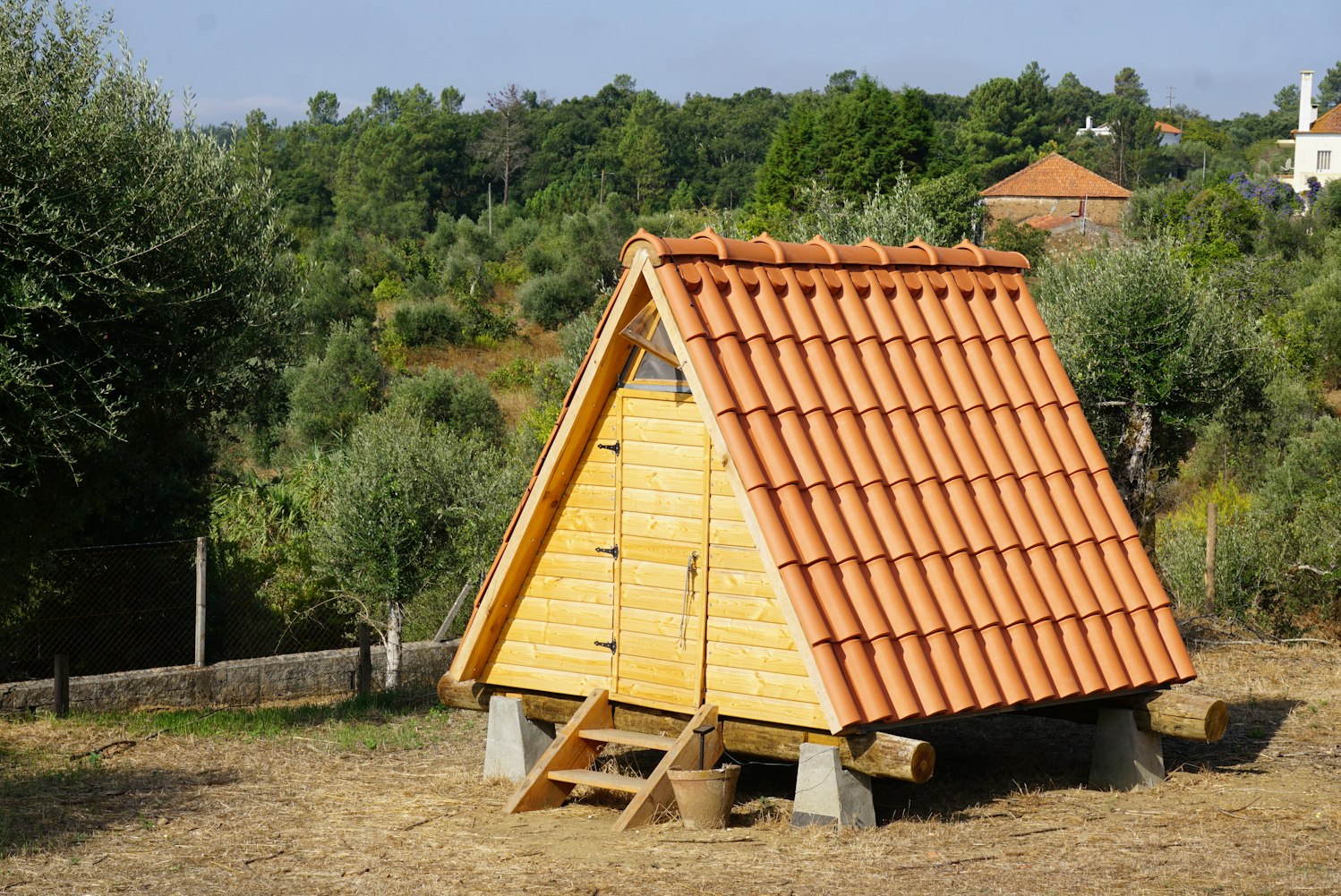 阴阳师动漫头像,魅力与故事探秘