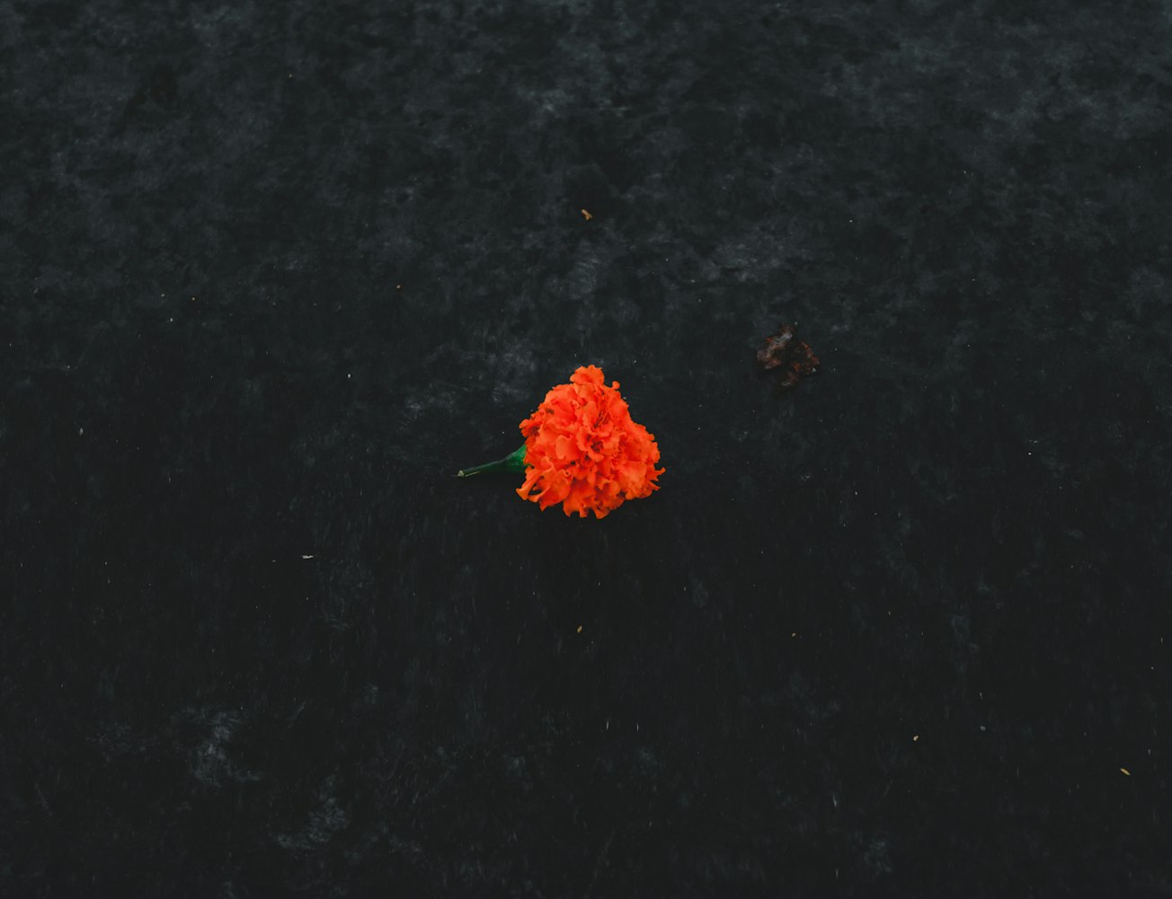 光谷悦城二期最新动态揭晓,未来生活新篇章开启