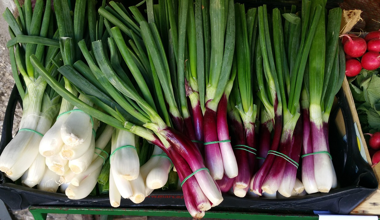 最新新发地蔬菜价格概览