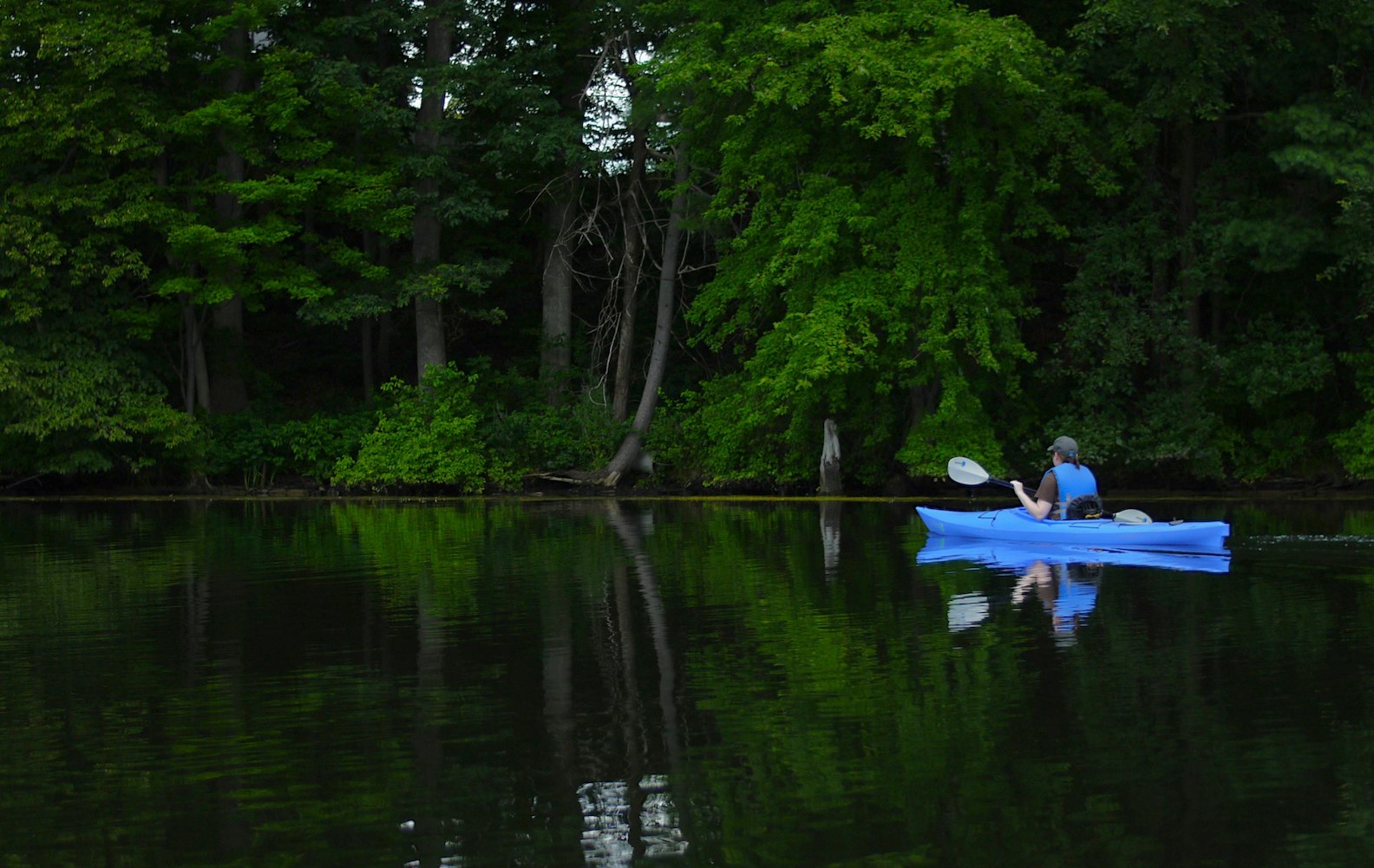 华地翡翠蓝湾最新价格动态与行情分析