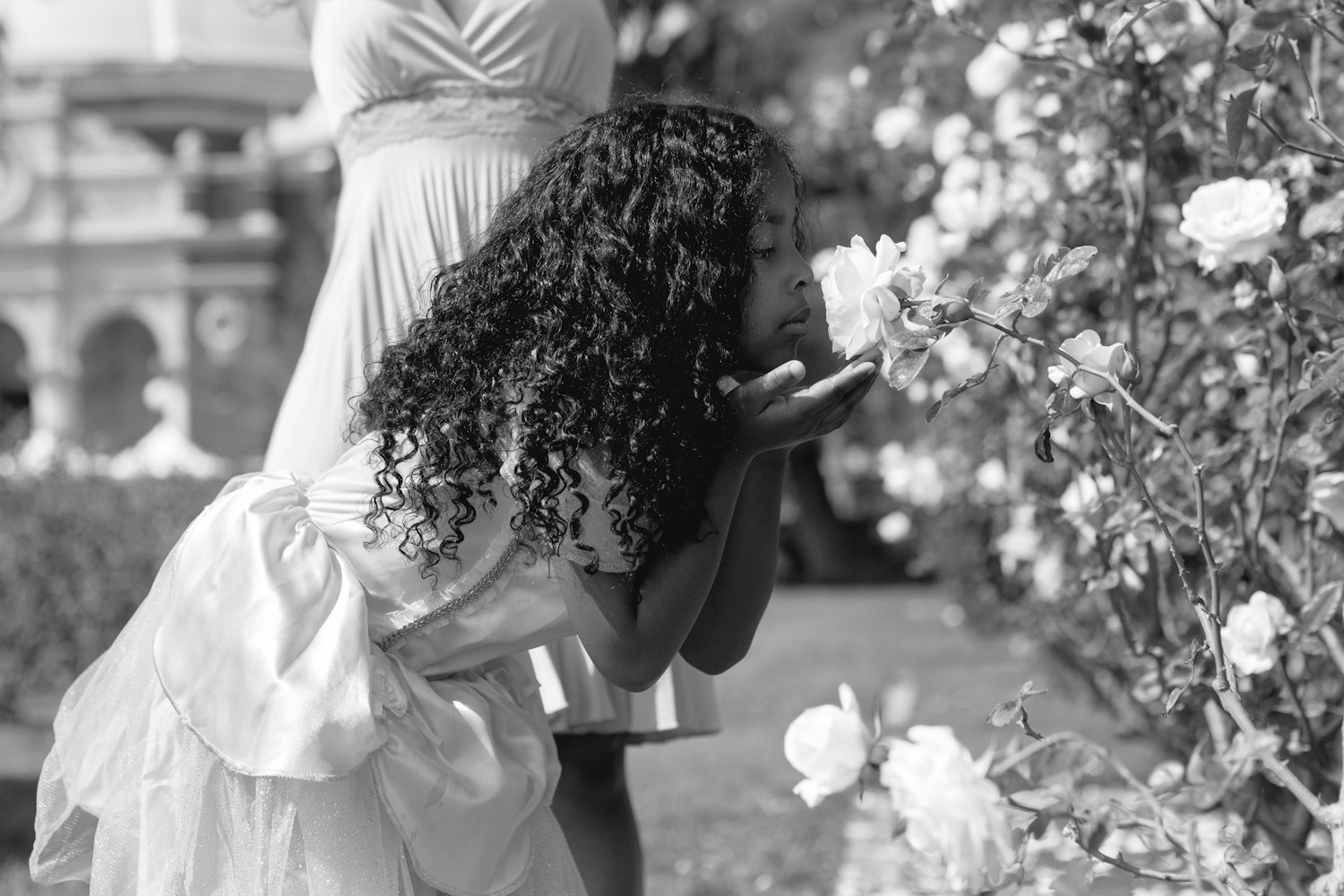 美国电影中性生活的文化表达与探讨