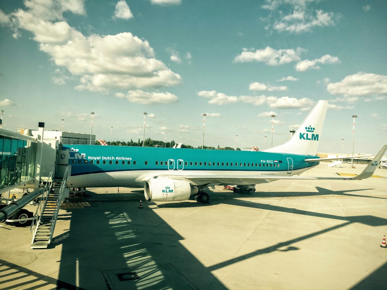 全民飞机最新宠物青龙神秘亮相,空中伙伴的魅力揭秘