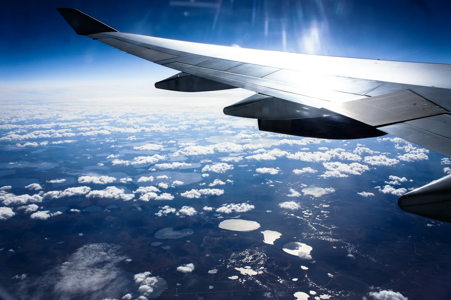 全民飞机最新宠物青龙神秘亮相,空中伙伴的魅力揭秘