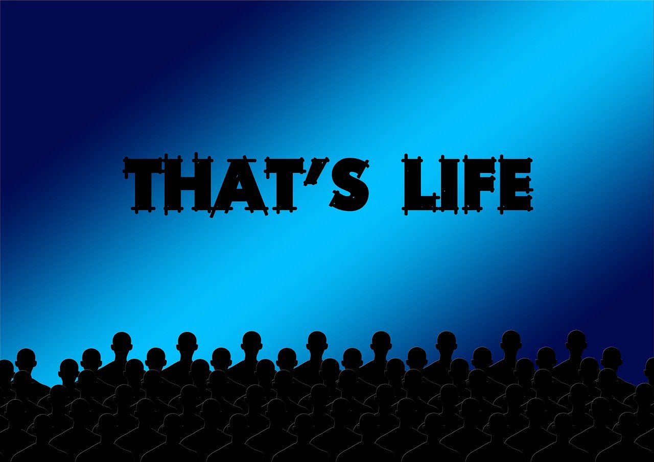 最新国产电影推荐,展现中国影视产业的繁荣与生机