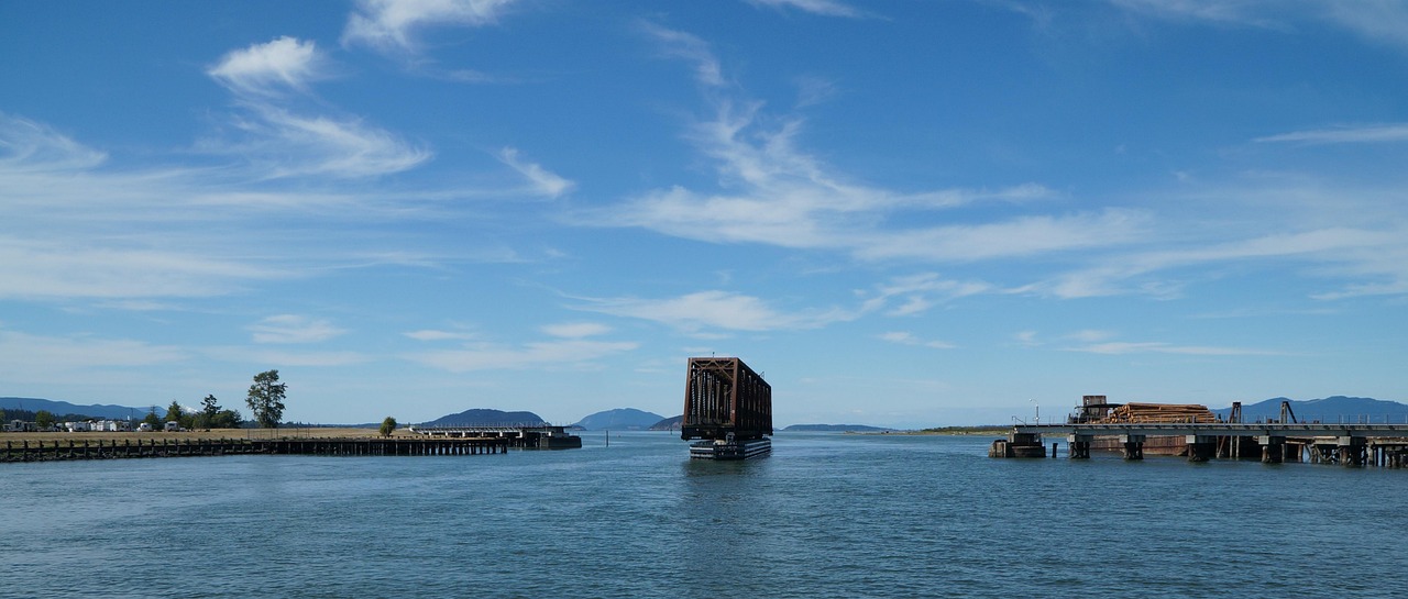 翼神最新车价动态深度解析及购车指南