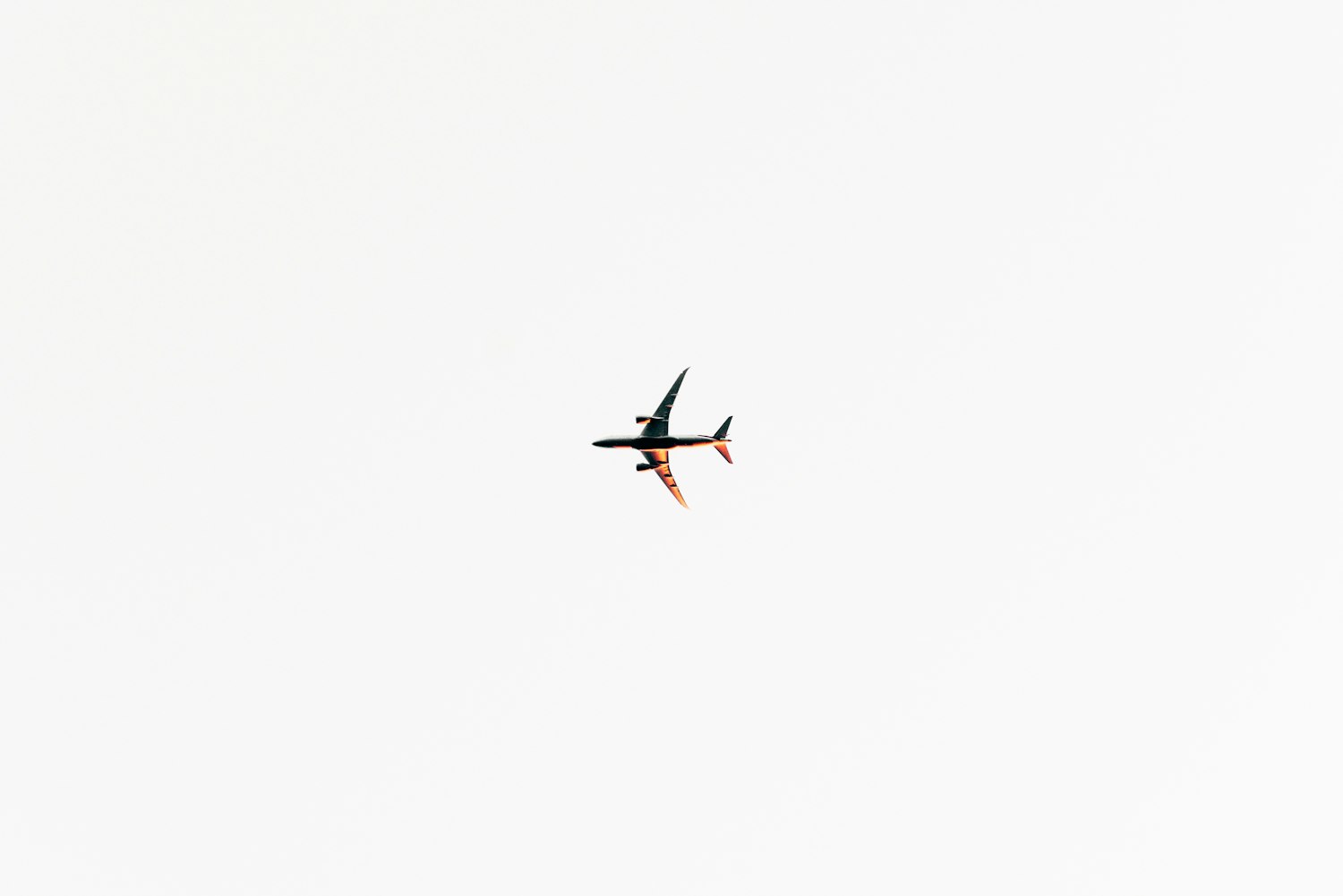 宁海最新招聘动态及其影响概览