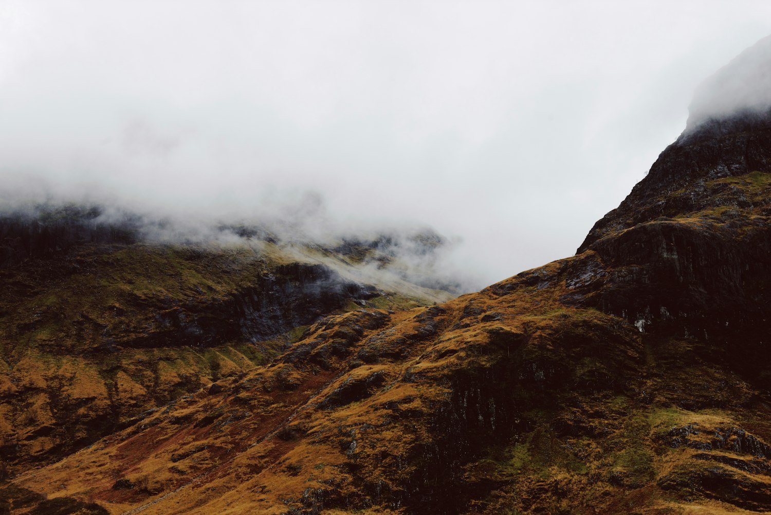 宁海最新招聘动态及其影响概览