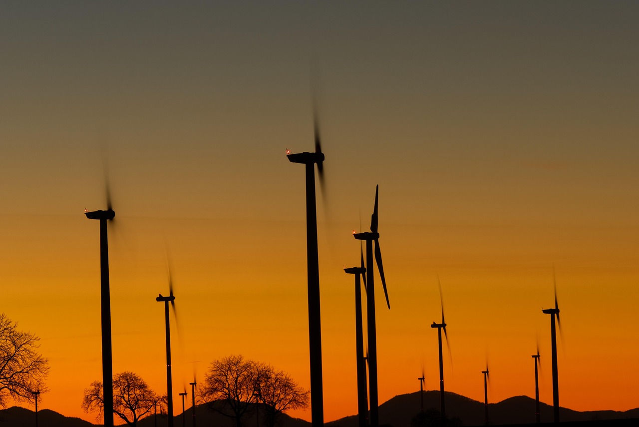 成功案例 第5页