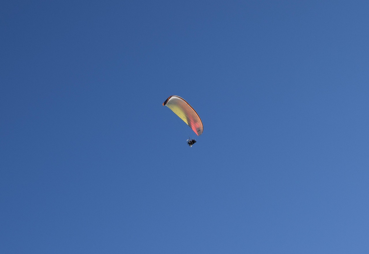 巴南龙洲湾最新职位招聘信息及动态更新