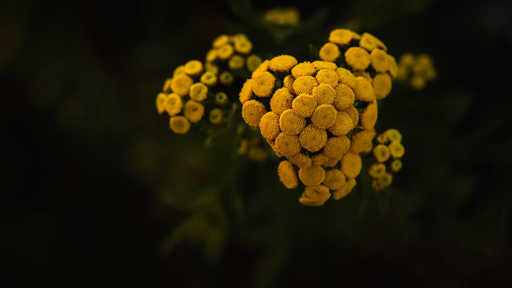 隆回最新动态与发展趋势探索,新鲜资讯一览